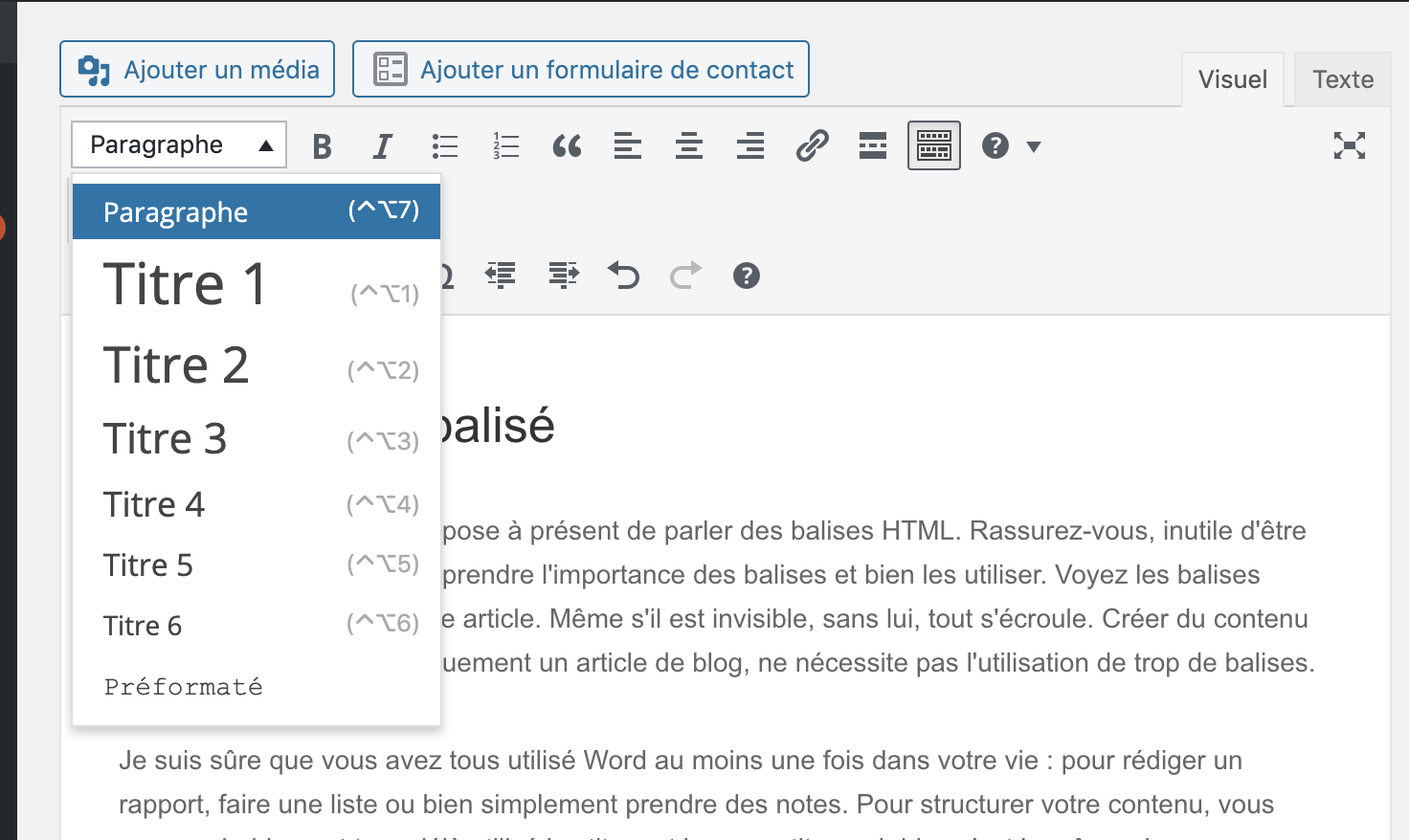 Balises HTML sur WordPress