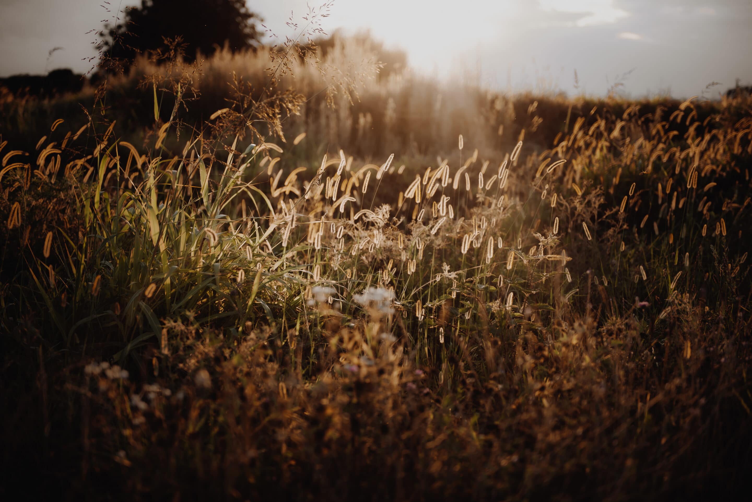 Évaluation d&rsquo;une Formation en e-learning : Obtenir des Avis