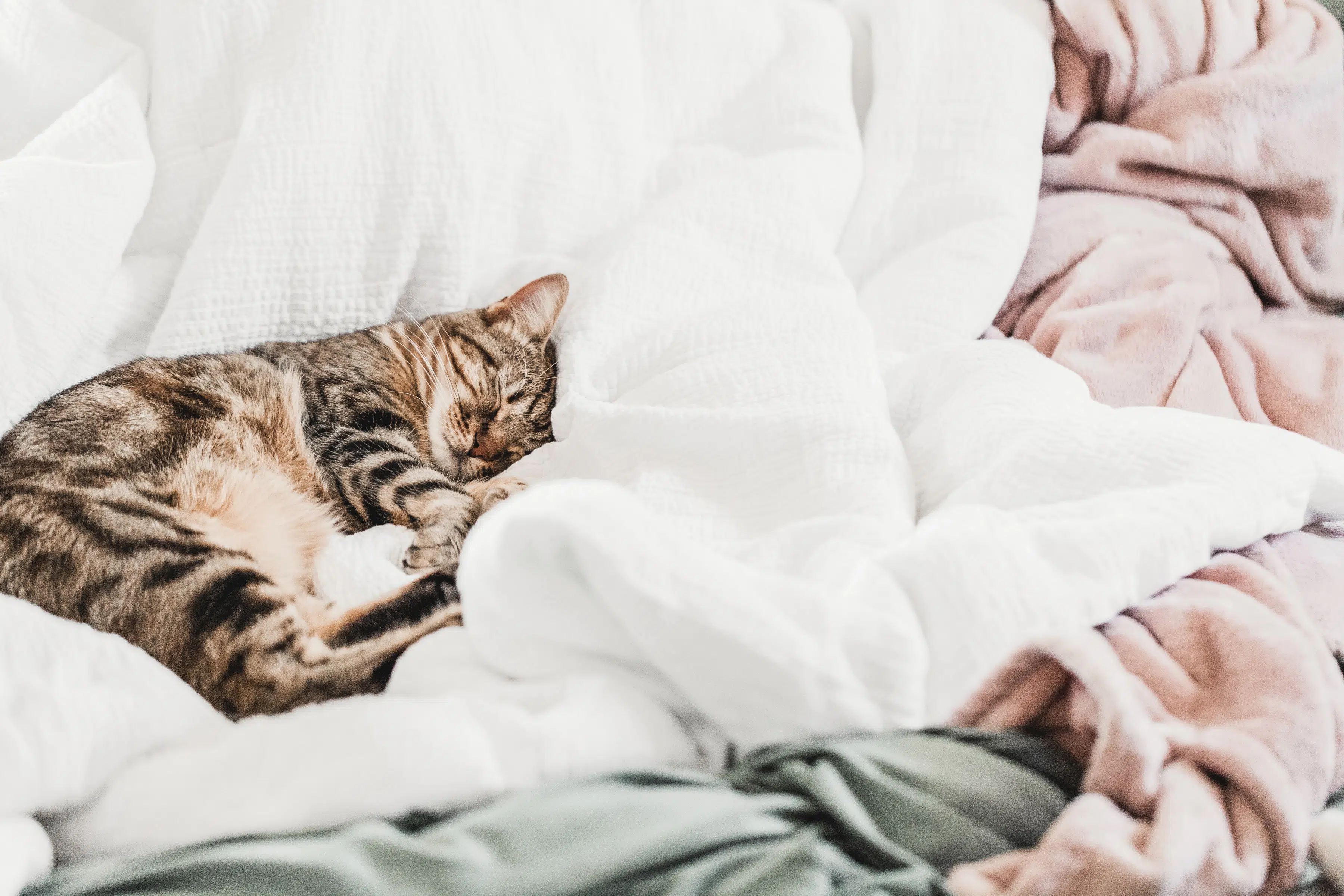 4 Conseils pour être Plus Productif quand on est Fatigué