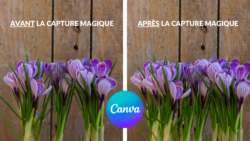 capture magique canva