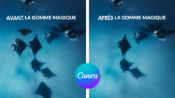 gome magique canva