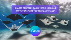 media magique canva